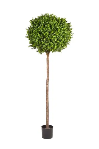 Kunstbaum Künstlicher Buchsbaum - Rayan, 170 cm, aplanta