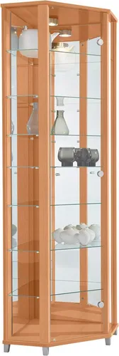 fif möbel Eckvitrine TRIO Höhe ca. 172 cm, ink. Beleuchtung Eckvitrine/Glasvitrine 1x Glastür, perfekt für Sammler, Sammlervitrine