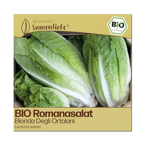 Samenliebe BIO Salat Samen | Romanasalat Bionda Degli Ortolani - italienischer Römersalat - samenfestes BIO Saatgut