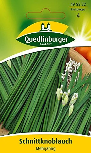 Kräutersamen - Schnittknoblauch Wagners Kobold von Quedlinburger Saatgut