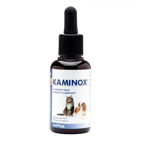 Kaminox Sirup 60 ML - Sonstige – Schmackhafte flüssige Nahrungsergänzung für Katzen, unterstützt die Gesundheit und das Wohlbefinden Ihres Haustiers.