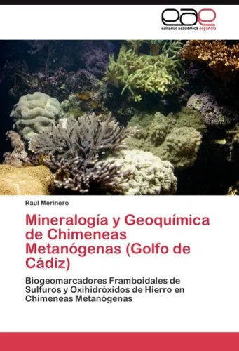 Mineralogía y Geoquímica de Chimeneas Metanógenas (Golfo de Cádiz) Raul Merinero