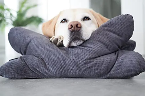 Lebon Cruto XL Hundekissen - Entspannung für Ihren Hund - Kissen für Hunde, 45x25x25cm, extra weiche Silikon/Watte-Füllung für optimalen Liegekomfort und stützende Kopfablage - Ideal zum Kuscheln und Spielen.