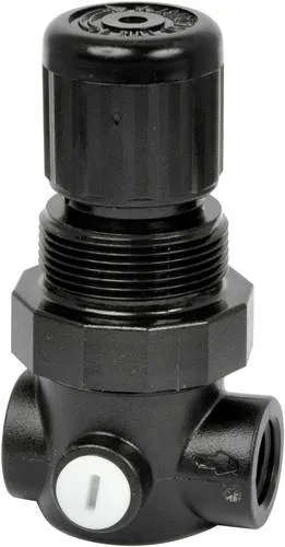 Miniaturdruckregler Norgren R91W-2GK-NEN - Druckregler für präzise Anwendungen mit einem Einstellbereich von 0,3 bis 3,5 bar, ideal für kompakte Systeme.