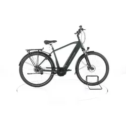 Böttcher Spirit City E-Bike - green - 52
