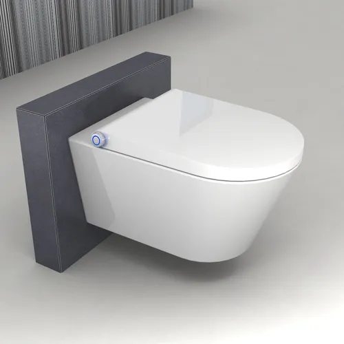 BERNSTEIN 1102 Spülrandloses Dusch WC - Modernes Wand-WC mit Gesäß- und Ladydusche, spülrandlos für einfache Reinigung und hygienischen Komfort im Badezimmer.