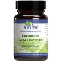 Liposomales MSM + Boswellia – Hochwertige Gelenkunterstützung - Nahrungsergänzungsmittel mit organischem Schwefel, Glucosamin und Boswellia für gesunde Gelenke und Bindegewebe. Ideal zur Linderung von Gelenkschmerzen und Entzündungen.