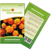 Deine Gartenwelt Studentenblume Tagetes Bonita Mischung Samen