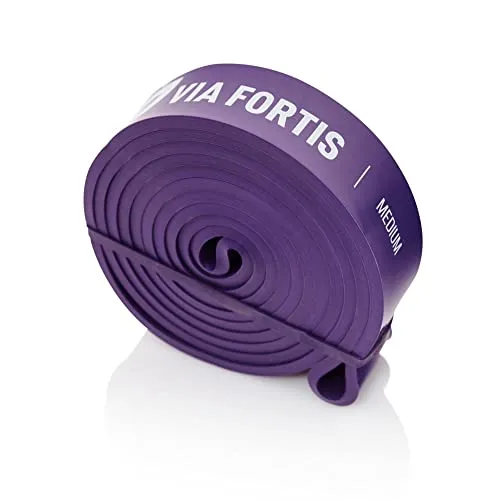 VIA FORTIS Premium Resistance Bands + Übungsanleitung und Tasche - Widerstandsbänder/Klimmzugband und Klimmzughilfe/Trainings-Bänder für Fitness & Krafttraining