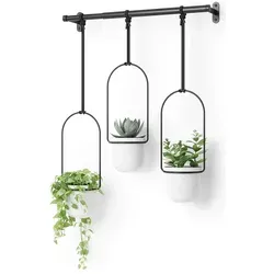 Umbra Triflora Vase - Hängeblumentopf für Wand und Decke - Pflanzenkästen & Spaliere, platzsparend und höhenverstellbar, ideal für Fensteranbringung und einfache Pflege Ihrer Pflanzen