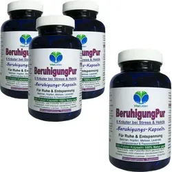 BERUHIGUNG Pur 6 beruhigende Kräuter 720 (4x180) Kapseln Baldrian Hopfen Melisse Lavendel Johanniskraut Passionsblume - Ruhe & Entspannung NATUR pur.