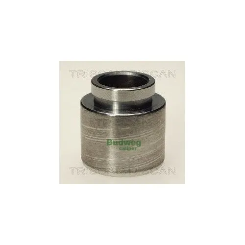 Triscan Kolben, Bremssattel 8170 234518