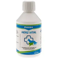 Herz Vital vet. Gel 250 ml - Aufbau & Leistung - Unterstützt die Herzfunktion und Vitalität älterer Hunde mit L-Carnitin und Weißdorn für bessere Leistungsfähigkeit und schnellere Erholung.