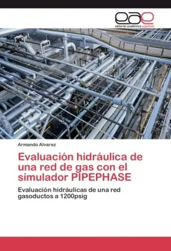 Evaluación hidráulica de una red de gas con el simulador PIPEPHASE Armando Alvar