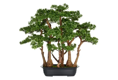 Kunstbonsai Bonsai Teeblatt, Creativ green, Höhe 60 cm - Kunstbonsai, detailgetreue Gestaltung und pflegeleicht – ideal für Wohnräume oder Büros, bringt natürliche Schönheit und Zen in dein Zuhause.