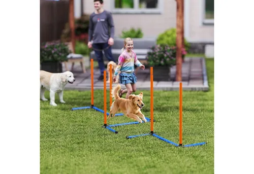 PawHut Agility Set für Hunde – 3-teiliges Trainingsset mit Slalomstangen und Tragetasche - Vielseitiges Agility-Set für Hunde aller Größen, ideal für drinnen und draußen. Schnelle, werkzeuglose Einrichtung für flexibles Training und Spaß mit Ihrem Hund!