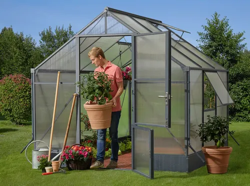 KONIFERA Gewächshaus Genova 245x227 cm - Garten-Zubehör mit 2 Fenstern und geteilten Flügeltüren, ideal für eine optimale Pflanzenzucht und wetterfest durch pulverbeschichtetes Aluminium.