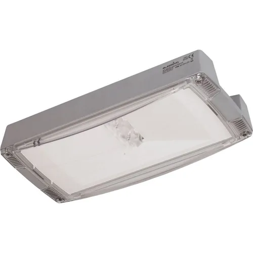 Ceag AtlanticLEDLTRCG-S Sicherheitsleuchte - Robuste Sicherheitsleuchte für Notbeleuchtung, kompakte Maße (303 x 136 x 62 mm), ideal für zuverlässige Orientierung in Notfällen.