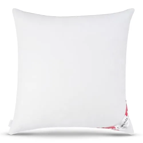 Bach's Betten Welt Canada Daunenkissen 5 Sterne Hotel 80x80 cm - Hochwertiges 3 Kammer Kopfkissen mit 1.040 g Füllgewicht, ideal für einen luxuriösen Schlaf wie im 5 Sterne-Hotel. Hergestellt aus 100% Naturmaterialien, anti-allergisch und milbenresistent.