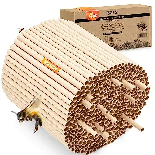 BEESI 600x Nisthülsen für Wildbienen – Hochwertige Nisthilfe für Insektenhotel - Große Packung mit 600 wasserabweisenden Nisthülsen in 6 und 8 mm Ø. Ideal für artgerechte Unterbringung von Wildbienen. Inklusive E-Book ‚Bienenglück‘ für optimale Nutzung.