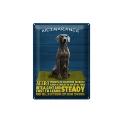 Femer GmbH Metallschild Spruch 30x40cm Weimaraner Hund alert and steady, (1 St), gewölbte Oberfläche, abgerundete Ecken, umgeschlagene Kanten