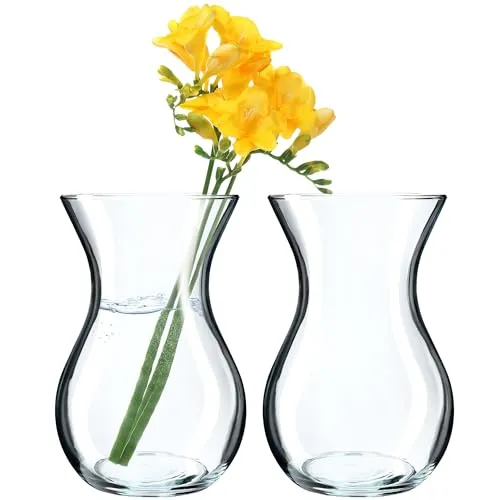 KADAX 2 Stück Blumenvase, 18cm Vase aus Glas, ⌀8cm Glasblumenvase mit einem 11cm Hals, Durchsichtige Tischvase, Klarglasvase, Glasvase für Blumen, Dekovase für Wohnzimmer (18cm / 2 Stück)