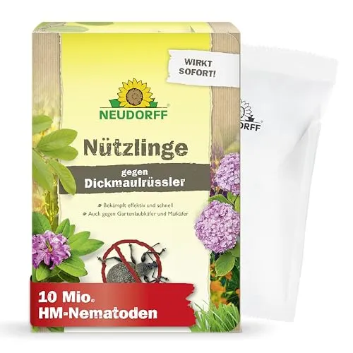 Neudorff Nützlinge gegen Dickmaulrüssler – 10 Mio. HM-Nematoden für effektive Schädlingsbekämpfung - Natürliche Bekämpfung von Dickmaulrüssler-Larven und Engerlingen. Einfache Anwendung und nachhaltiger Schutz für Ihre Pflanzen im Hochbeet, Rasen oder an Sträuchern.
