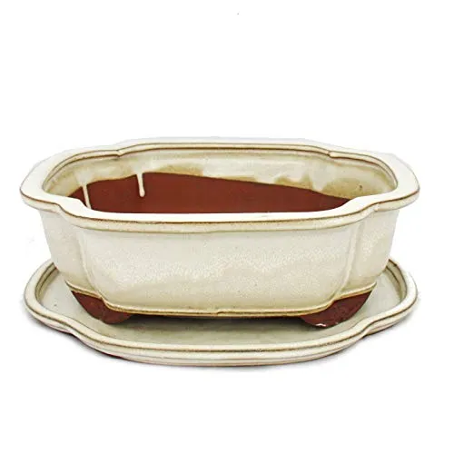 Exotenherz Bonsai-Schale mit Unterteller, Gr.4, hellbeige - Hochwertige Pflanzschale aus Yixing, ideal für Zimmerbonsai. Mit Entwässerungslöchern und elegantem Haitang-Design, Größe: 26cm.