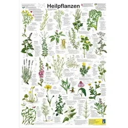 Heilpflanzen