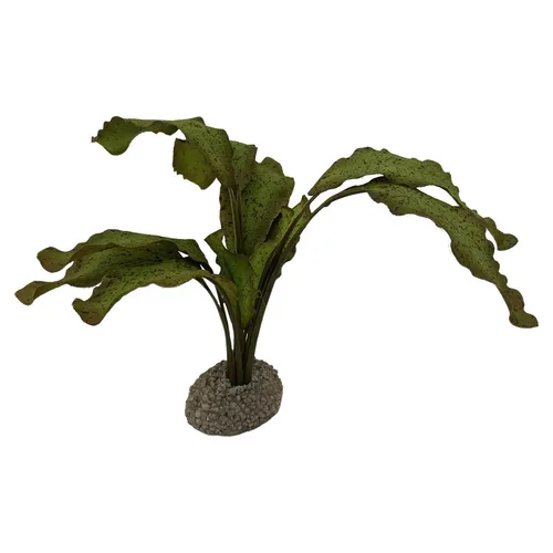 Aqua Della Aquarium Dekoration Echinodorus 5cm grün Kunstpflanze für Fische