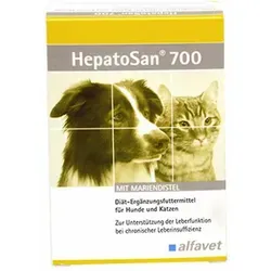 HepatoSan 700 Alfavet – Leber Support für kleine Hunde & Katzen - Ergänzungsfuttermittel in Tablettenform für kleine Hunde und Katzen, unterstützt den Leberstoffwechsel mit hochwertigen Inhaltsstoffen wie Mariendistel und Artischocke.