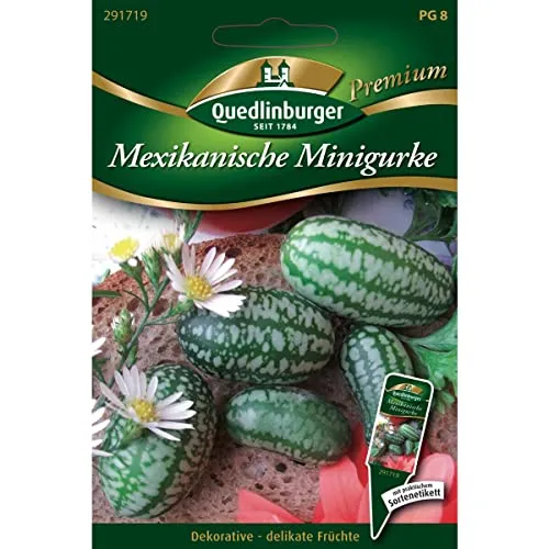 Quedlinburger Saatgut Mexikanische Minigurke Samen