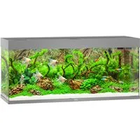 Juwel Rio 240 Aquarium mit LED-Beleuchtung - Aquarium mit Pumpe, Filter und Heizer, perfekt für Einsteiger und erfahrene Aquarianer, bietet optimale Bedingungen für Fische und Pflanzen.