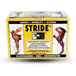 Stride Bst 30x50 Gr TRM Laufschuhe - Leichte und atmungsaktive Laufschuhe für optimalen Komfort und Performance beim Laufen.