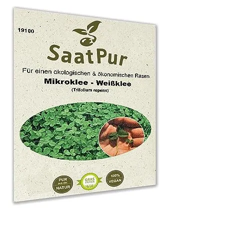 SaatPur Mikroklee Pipolina Microclover Miniklee Zwergklee Microklee Saatgut Rasen Klee - kleinblaettriger Klee Samen - Rasenklee kleiner Weißklee, 1Kg für ca. 500 qm