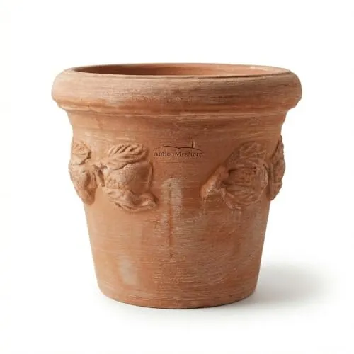 Terrakotta Pflanztopf Limoni Toscana 30cm - Hochwertiger Blumentopf aus italienischer Terrakotta, ideal für Innen- und Außenbereich. Perfekt für Pflanzen wie Aloe Vera, Orchideen und Rosen.