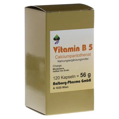 Vitamin B5 Kapseln – Pantothensäure für Energie - Arzneimittel zur Unterstützung des Energiestoffwechsels und der geistigen Leistung. Ideal für einen aktiven Lebensstil.