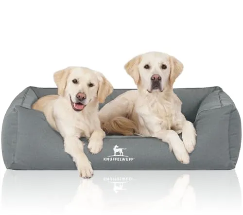 Knuffelwuff Orthopädisches Hundebett Leon XL 105 x 75cm - Wasserabweisend & Komfortabel - Hundebetten: Orthopädisches Hundebett mit Memory Foam für Druckentlastung und Muskelentspannung, ideal für gesunde und kranke Hunde. Wasserabweisendes Velours für ein stylisches Zuhause.
