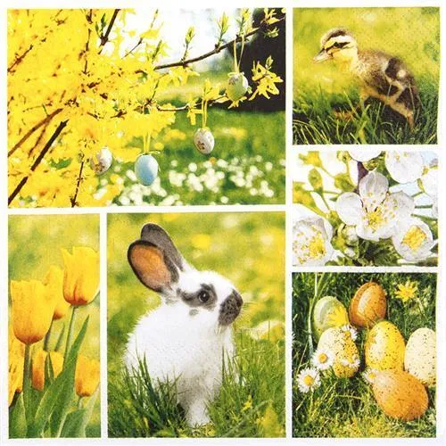 Servietten Easter Collage  Collage Ostern Hase Ei Frühling Tischdeko 33x33cm 20