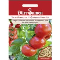 Dürr Samen Buschtomaten Hofmanns Rentita Saatgut
