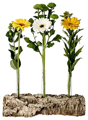 Blumen-Vase aus Korkrinde mit 3 Reagenzgläsern | Stilvolle und nachhaltige Dekoration | Rinde der Korkeiche | natürlich | ökologisch | Kork | vegan | 15 x 30 cm