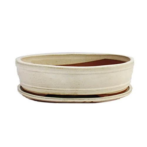 exotenherz Bonsai-Schale mit Unterteller Gr. 5 - Oval - Hellbeige - Elegante, glasierte Bonsai-Schale in hellbeige, ideal für Zimmerbonsai. Mit Entwässerungslöchern für optimale Pflege. Maße: 31x24x7,5 cm. Perfekt für die stilvolle Präsentation Ihrer Pflanzen.