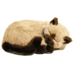Perfect Petzzz 92578 Siam-Kätzchen – Realistisches Spielzeug für Katzenliebhaber - Atmendes Siam-Kätzchen in eleganter Box, ideal für Kinder ab 3 Jahren. Pflegeleicht und ohne Allergene, der perfekte Spielkamerad und eine stilvolle Dekoration.