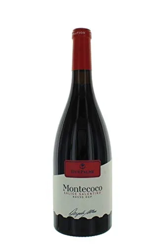 Cantine Due Palme Montecoco Salice Salentino DOP 2017 trocken (1 x 0,75l)