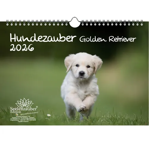Hundezauber Golden Retriever DIN A4 Kalender für 2026 Welpen und Hunde - Seelenz
