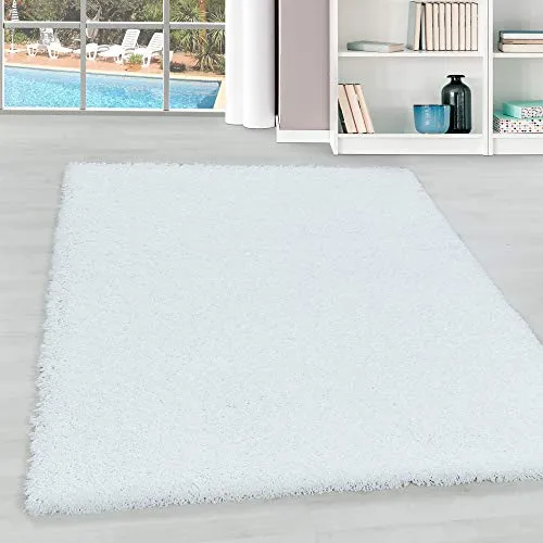 Teppium Moderner Hochflor Teppich 120 x 170 cm - Flauschig und Pflegeleicht - Vielseitiger Hochflor Teppich für Wohnzimmer, Schlafzimmer und Küche. Mit einer Florhöhe von 30 mm bietet er hohen Komfort und ist pflegeleicht. Der robuste Jute-Rücken sorgt für Stabilität und Langlebigkeit.