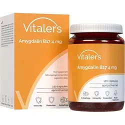 Vitaler's Amygdalin Kapseln – 120 Stück, vegan und ohne Zusatzstoffe - Vitaler's Amygdalin Kapseln enthalten hochwertigen Aprikosenkern-Extrakt und sind ideal für eine bewusste Ernährung. Frei von Zusatzstoffen, perfekt für alle, die natürliche Produkte schätzen.