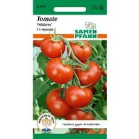 SAMEN PFANN Tomate Hildares F1 – Ertragreiche Sorte - Frühe Tomatensorte mit hohem Ertrag, resistent gegen Krankheiten. Süße, aromatische Früchte ohne Grünkragen, ideal für sonnige Standorte. Einfache Pflege und kräftiger Wuchs für optimale Ernte ab Mitte Juli.