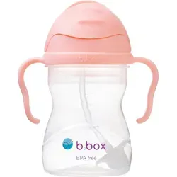 b.box Gelato Cup Tasse mit Strohhalm Tutti Frutti 6m+ 240 ml