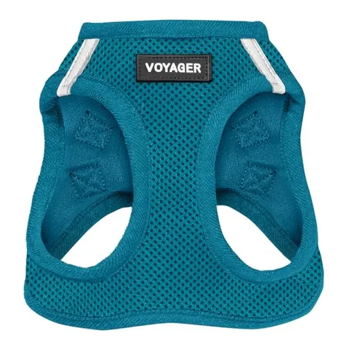Voyager Step-In Air Hundegeschirr by Best Pet Supplies - All Weather Mesh Step in Vest Harness für kleine und mittlere Hunde, Türkis, size M - Brust 40- 45 cm